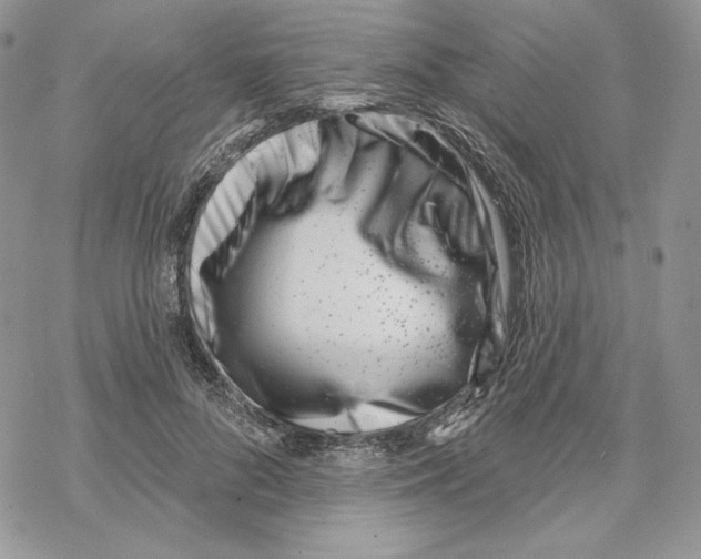 X0000069360696200606091601