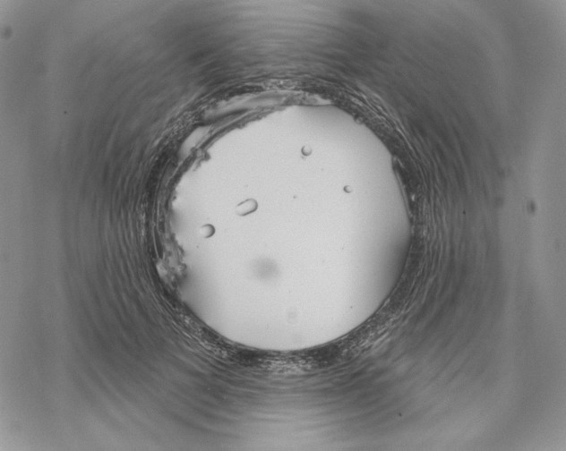 X0000069360697200606091601