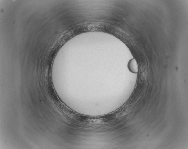 X0000069360698200606091601