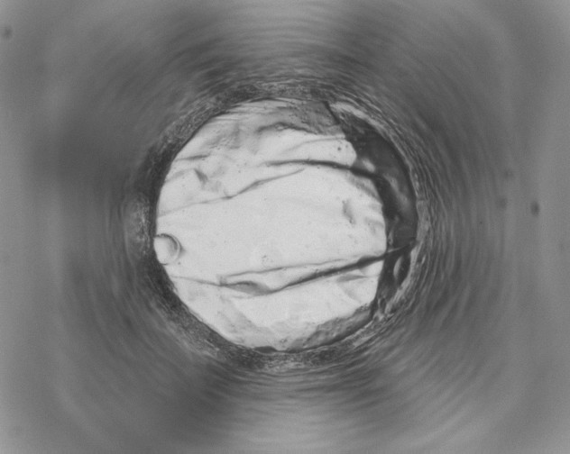 X0000069360699200606091601