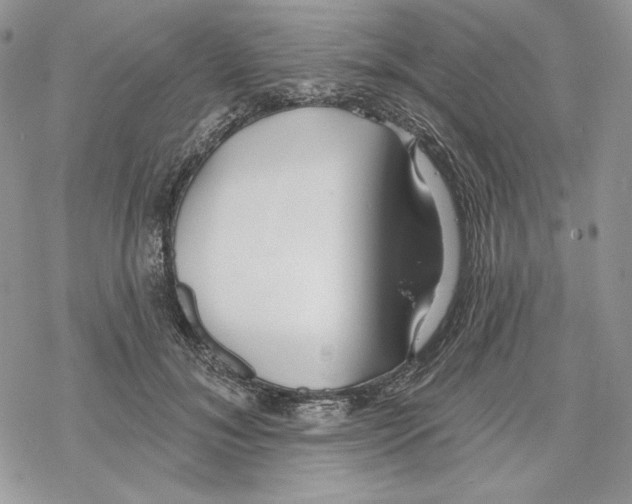 X0000069360700200606091601