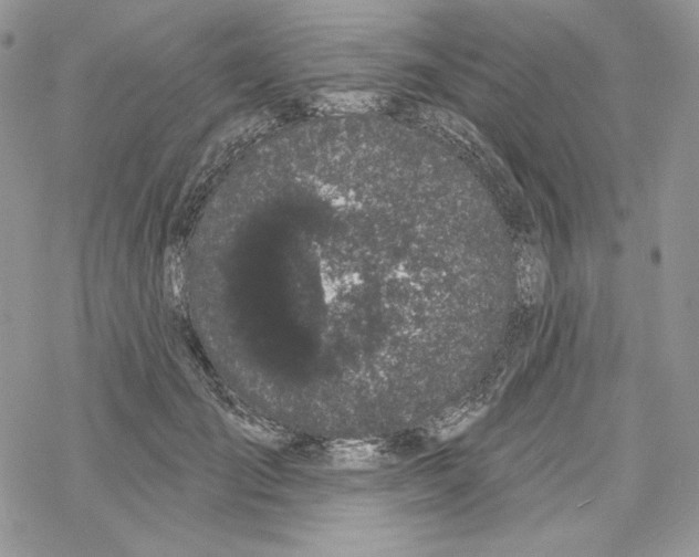 X0000069360701200606091601