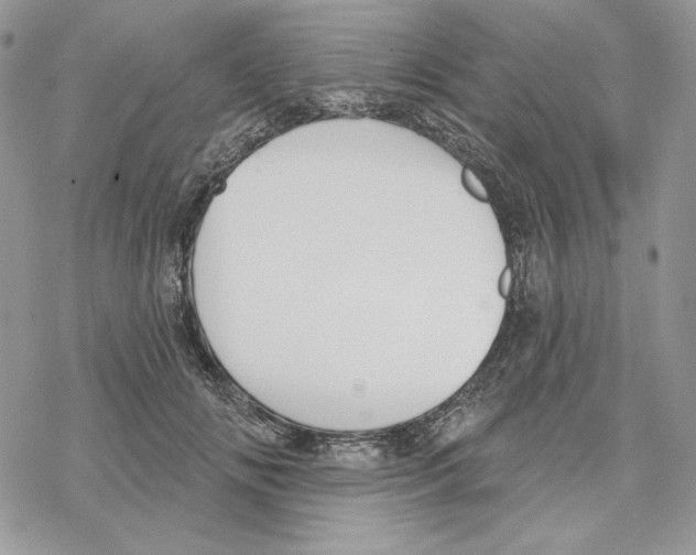 X0000069360702200606091601