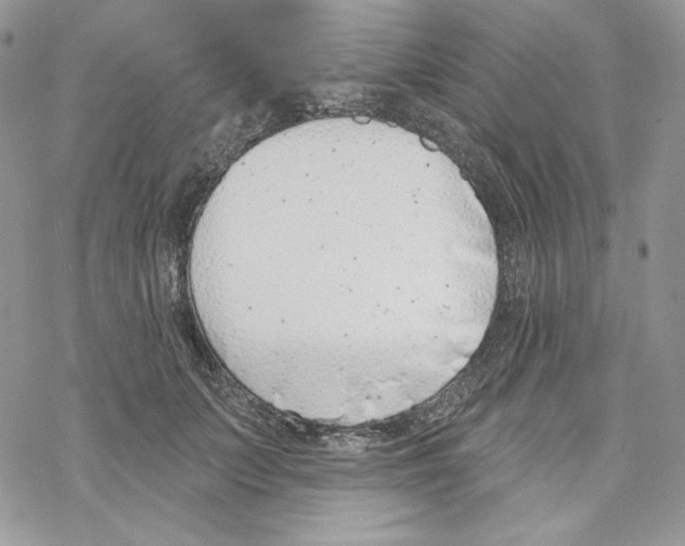 X0000069360703200606091601