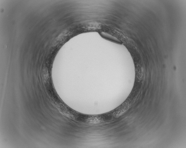 X0000069360704200606091601