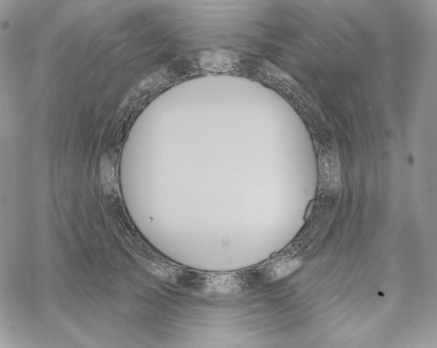 X0000069360705200606091601