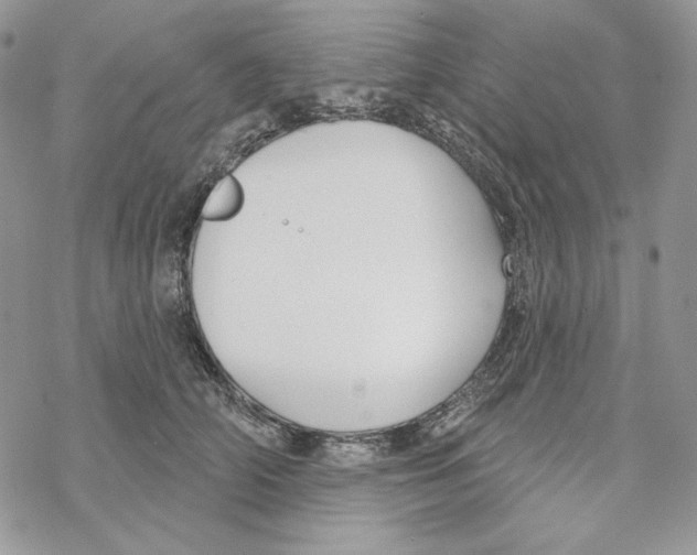 X0000069360706200606091601