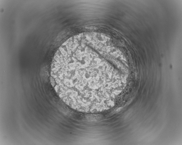 X0000069360707200606091601