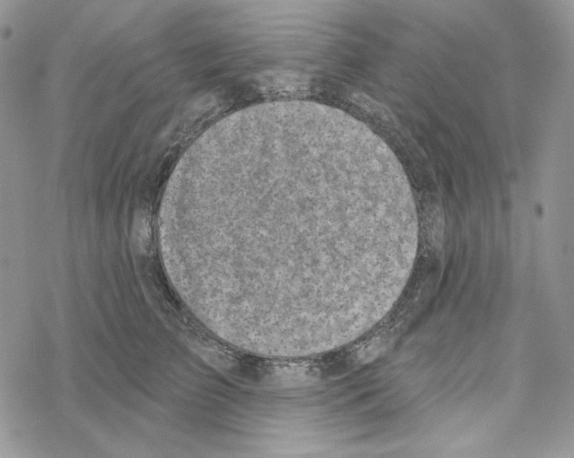 X0000069360709200606091601