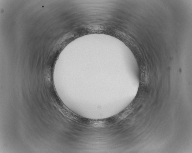 X0000069360710200606091601