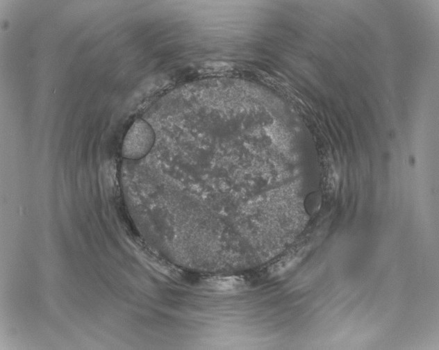 X0000069360711200606091601