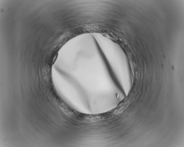 X0000069360712200606091601