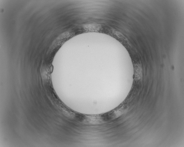 X0000069360713200606091601