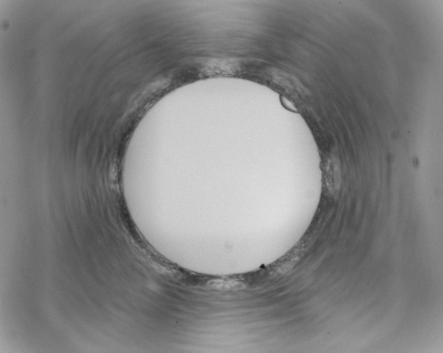 X0000069360714200606091601