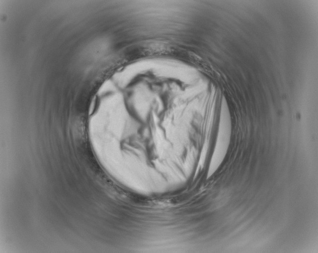 X0000069360715200606091601