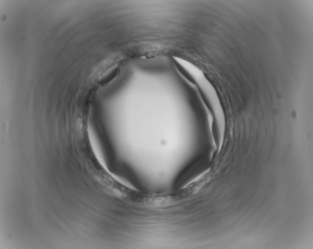 X0000069360716200606091601