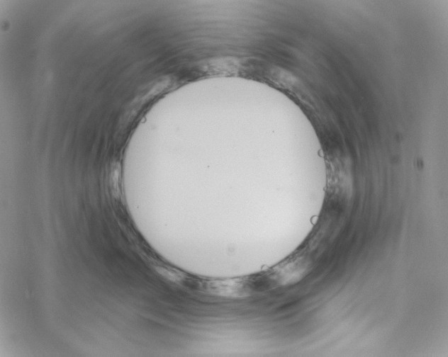 X0000069360717200606091601