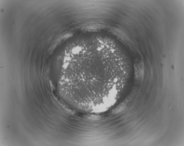 X0000069360718200606091601