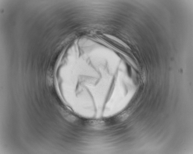 X0000069360719200606091601