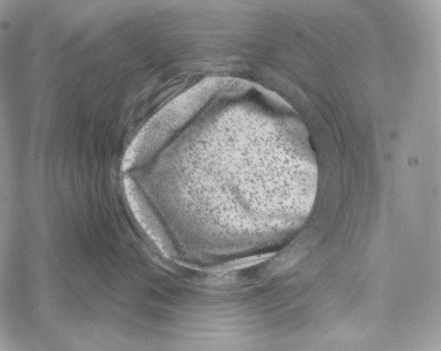 X0000069360720200606091601