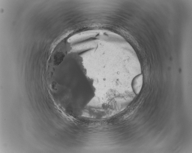 X0000069360721200606091600