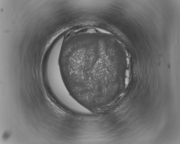 X0000069360722200606091600