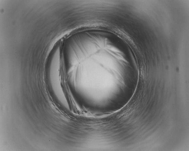 X0000069360724200606091600