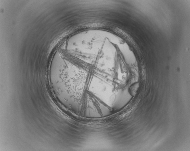 X0000069360725200606091600