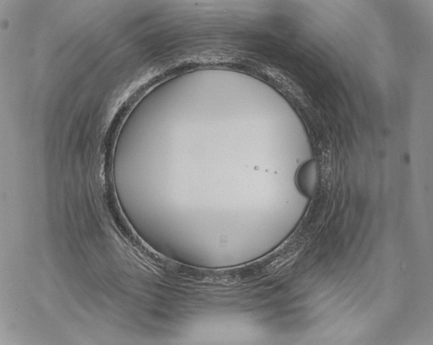 X0000069360727200606091600