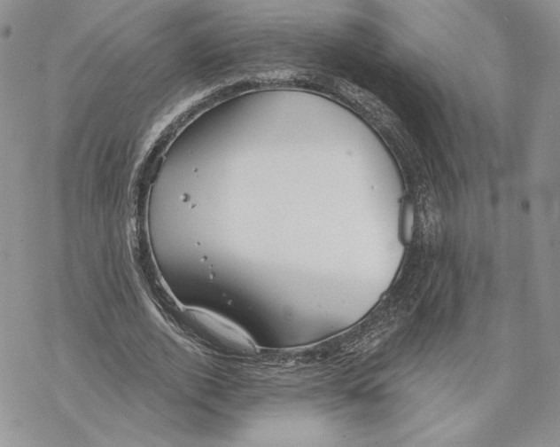 X0000069360728200606091600