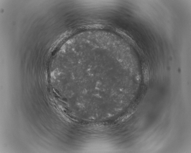 X0000069360729200606091600