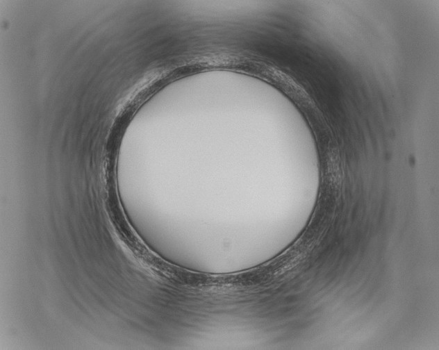 X0000069360730200606091600