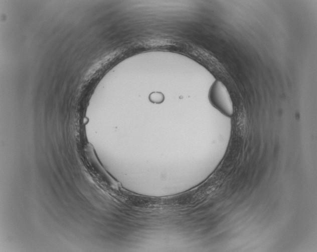 X0000069360732200606091600