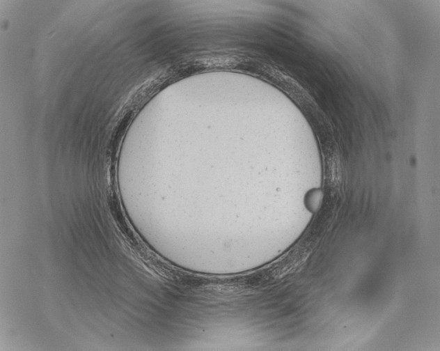 X0000069360733200606091600