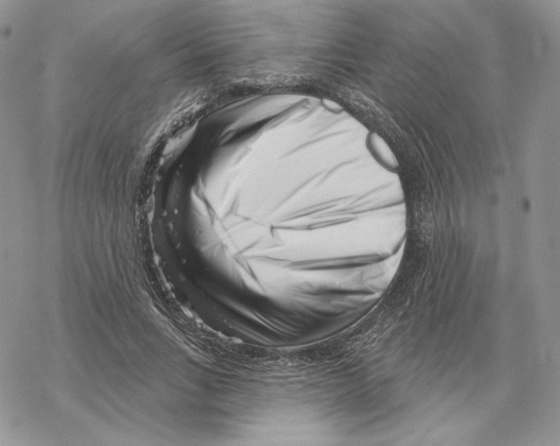 X0000069360735200606091600