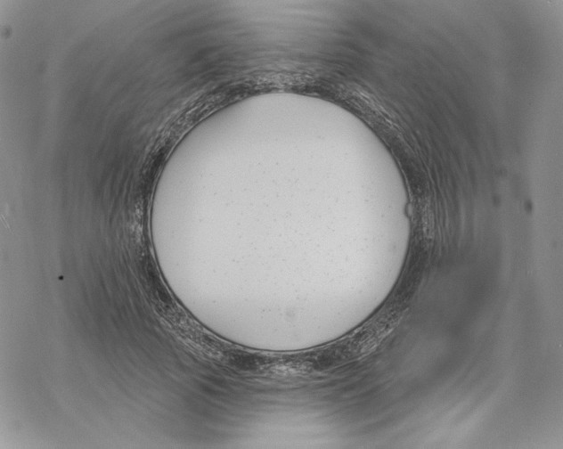 X0000069360737200606091600