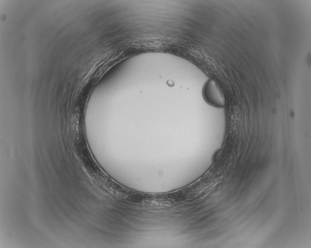 X0000069360739200606091600