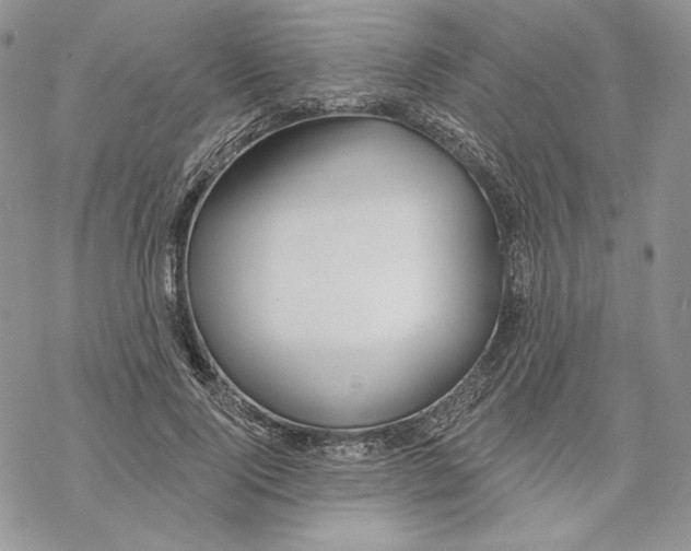 X0000069360740200606091600