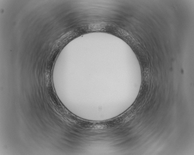 X0000069360741200606091600