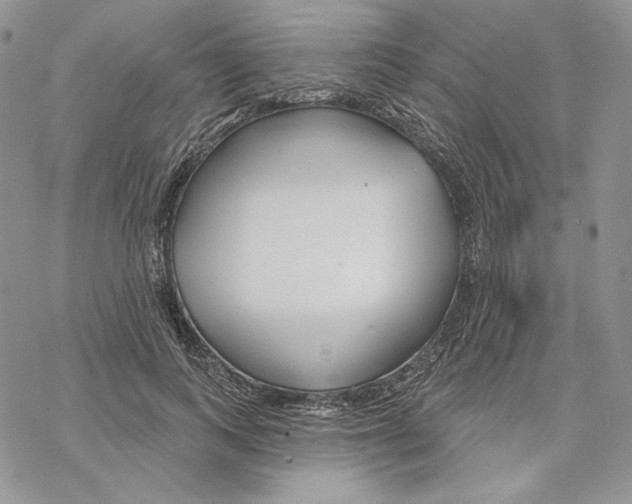 X0000069360743200606091600