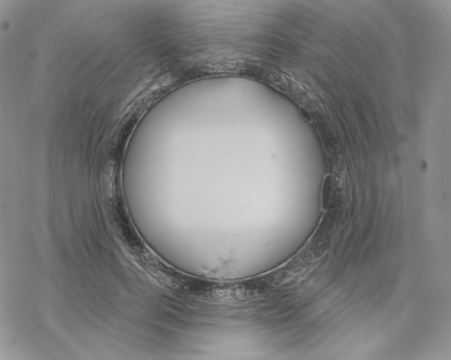 X0000069360744200606091600