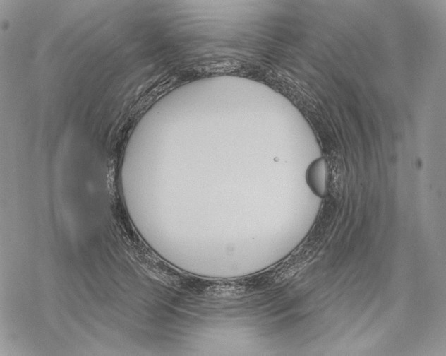 X0000069360745200606091600