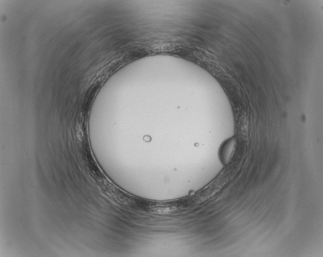 X0000069360746200606091600