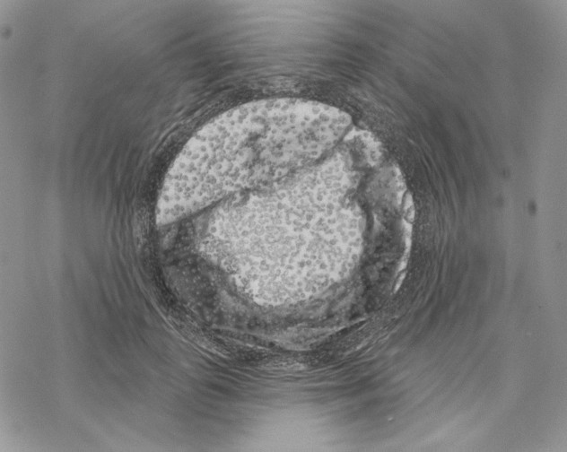 X0000069360747200606091600