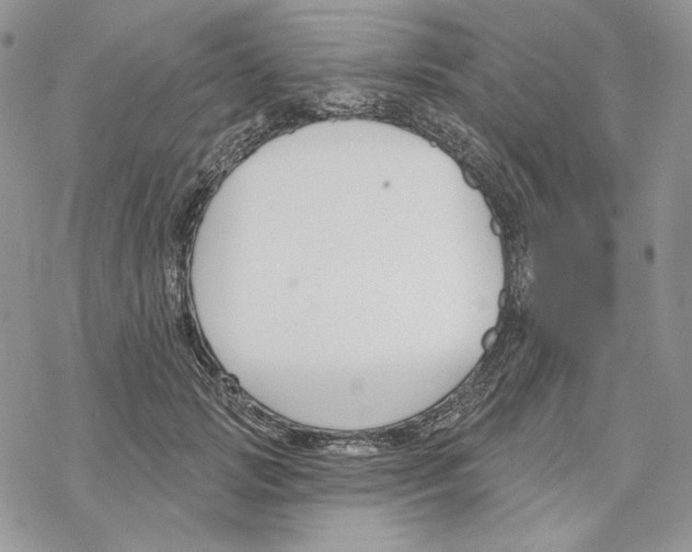 X0000069360749200606091600