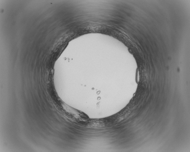 X0000069360750200606091600