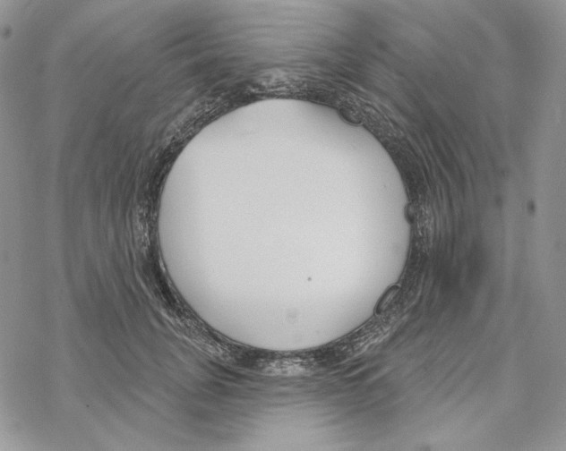 X0000069360751200606091600