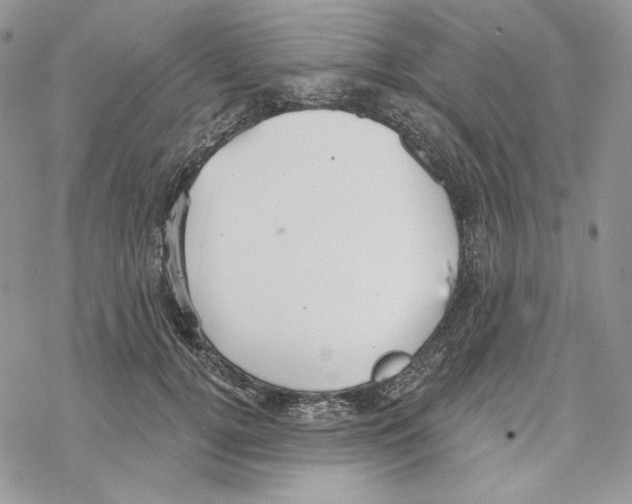 X0000069360752200606091600