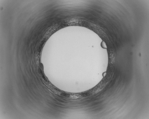 X0000069360753200606091601