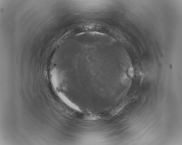 X0000069360754200606091601